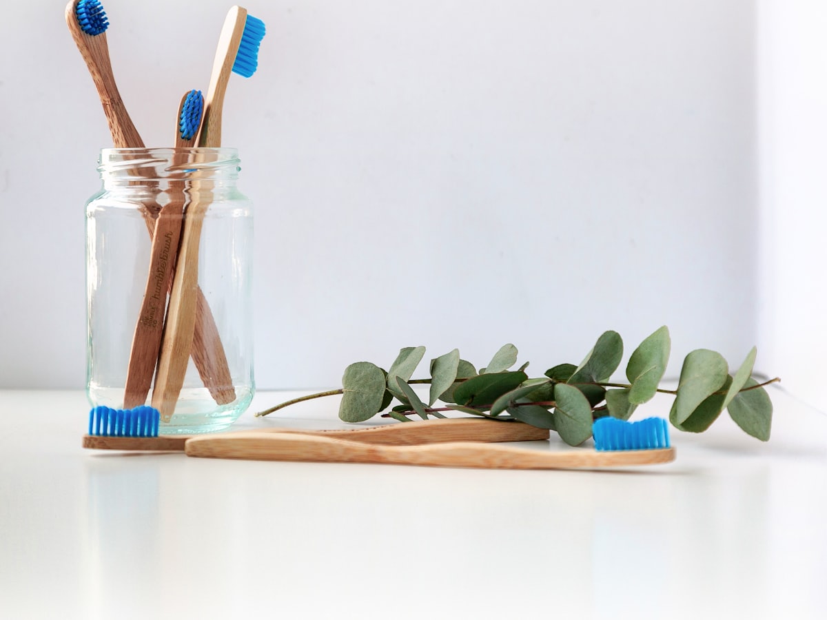 Bamboo toothbrushes in a glass jar beside a sprig of eucalyptus